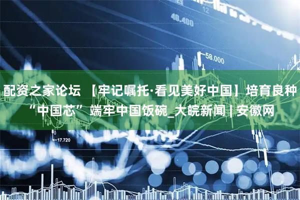 配资之家论坛 【牢记嘱托·看见美好中国】培育良种“中国芯” 端牢中国饭碗_大皖新闻 | 安徽网